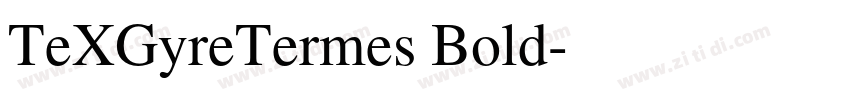 TeXGyreTermes Bold字体转换